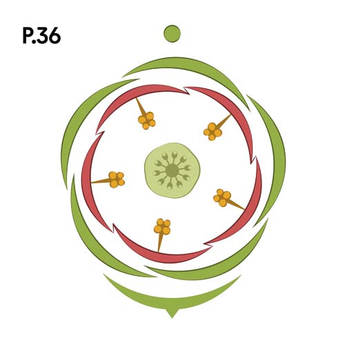 Přírodopis_motiv36.jpg Přírodopis_motiv36.jpg